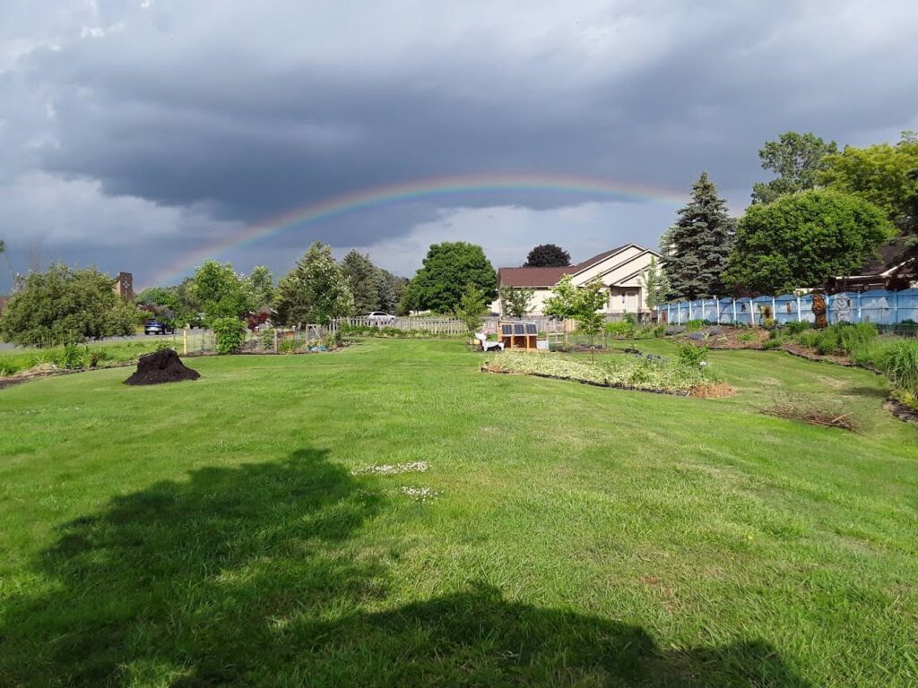 Rainbow over garden